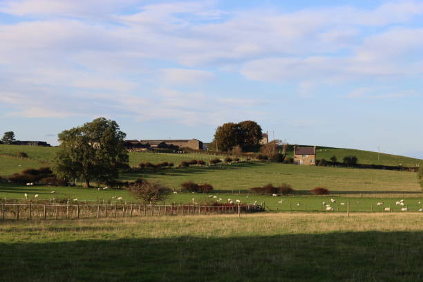 istock View across countryside fields in summer 2188898320
