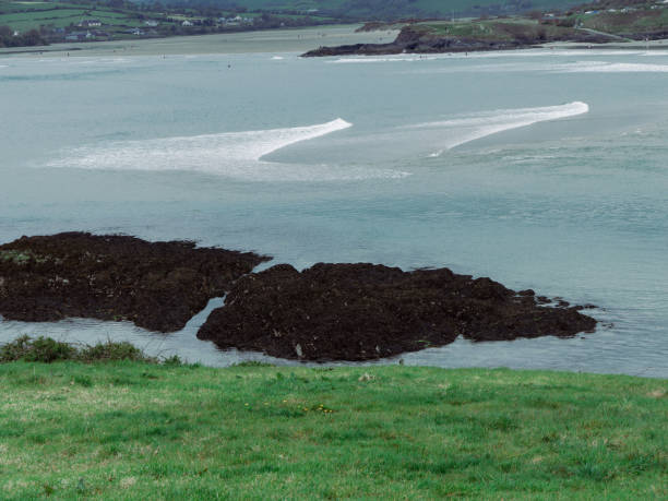 istock Rocks on the seashore. Green spring grass. White foam on the waves. 2188901144