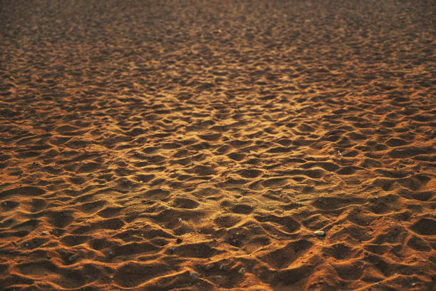 Texture of brown sand on the beach, selective focus