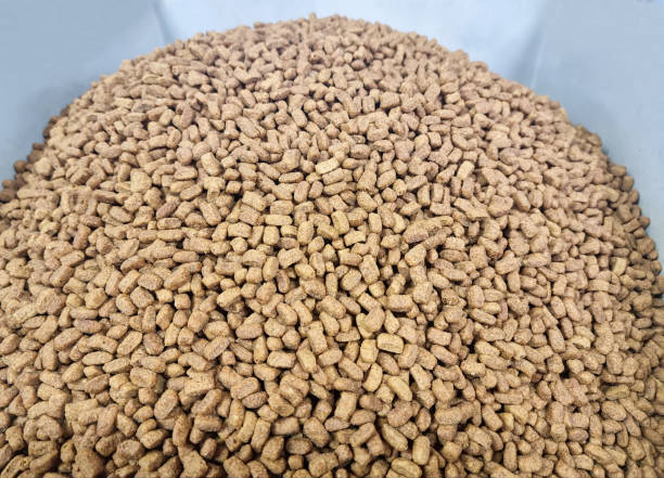istock Dry food for animals 2188902810