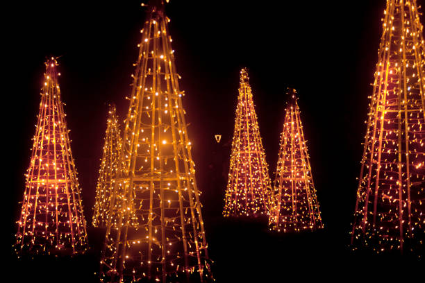 Christmas trees, gold colored street lights at night, garden, townsquare, Santiago de Compostela, A Coruña, Galicia, Spain. .