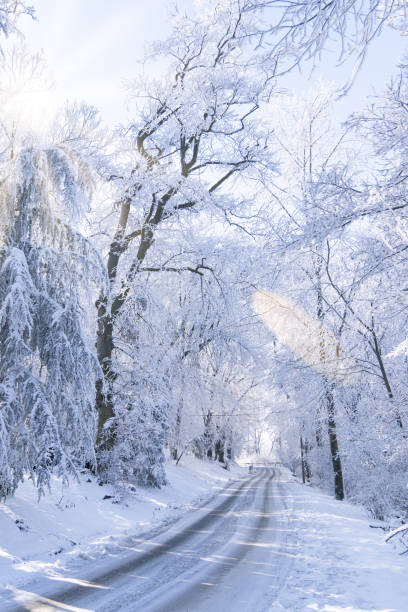 istock Winter landscape with snow-covered trees and road 2188911752