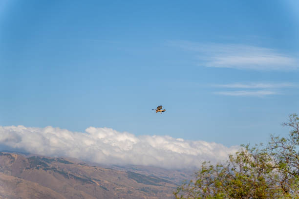 The peregrine falcon2 (Falco peregrinus) is a species of falconiform bird of the family Falconidae with a cosmopolitan distribution. It is a large, crow-sized falcon with a bluish-gray back and whitish underparts with dark spots; the head is black and has a broad, distinctive black mustache.