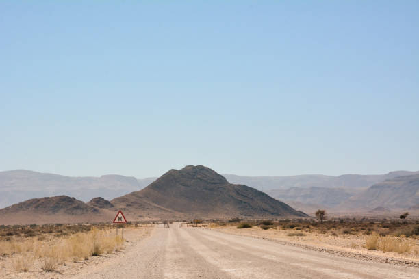 Dirt road between desert hills against a blue sky. Desert landscape and environment