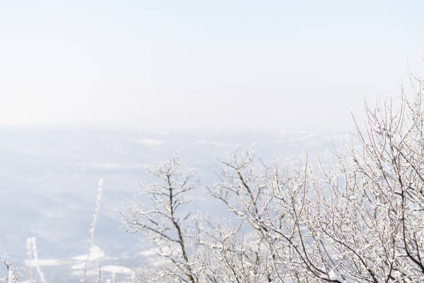 On top of winter mountain. Snow covered trees. Winter background.