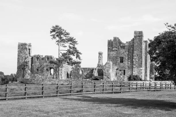 istock A castle with a fence in front of it 2188914900