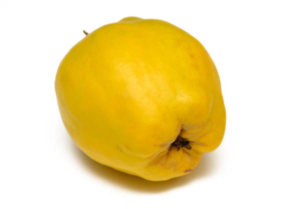 A ripe quince sits on a plain background, its glossy skin reflecting light, highlighting its unique shape and color.