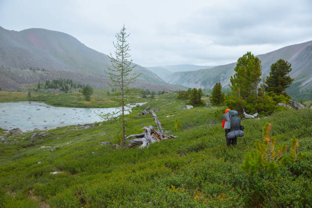 istock Man with big backpack got lost in mountain valley among sparse conifer trees in rainy weather. Backpacker in open forest in mountains under grey cloudy sky. Lush green alpine flora. Wander in thickets 2188932364