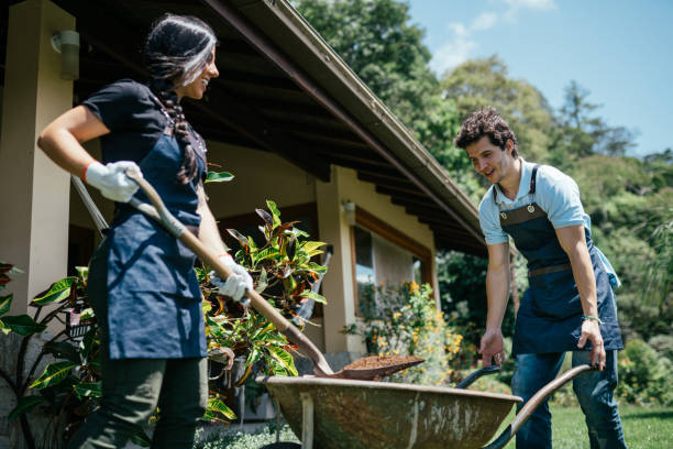 istock Small group of people working in a garden 2188940168