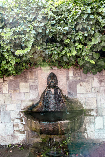 Beautiful drinking water fountain in summer. algae in water.