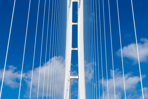 engineering and nature
