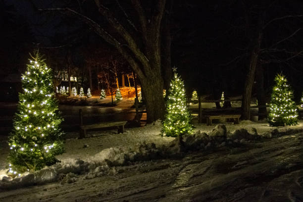 istock Christmas Trees with White Lights Along a Pond at Night 2188948106