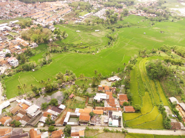 istock Lush green crops surrounded by houses 2188948186