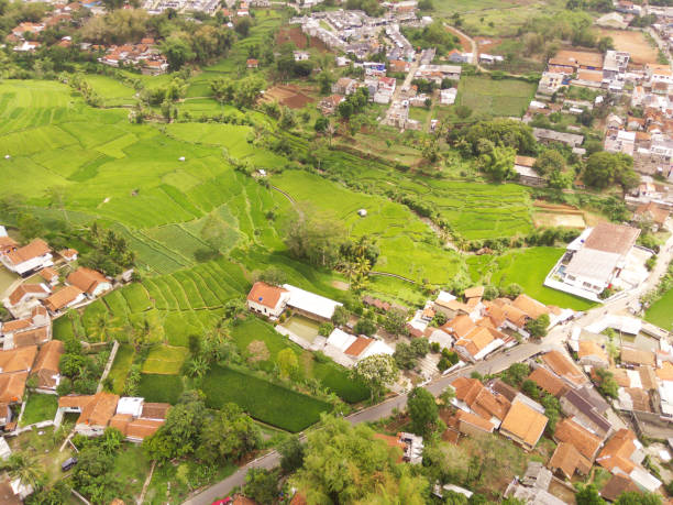 istock Lush green crops surrounded by houses 2188948187