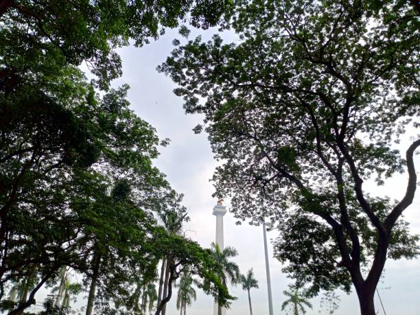 istock Monas in the middle of lush trees 2188952381