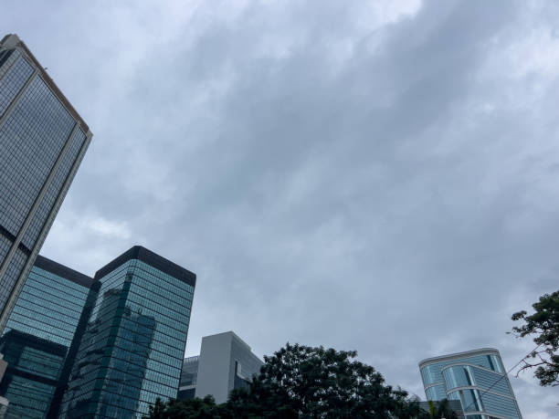 Tall glass skyscrapers with cloudy sky in cityscape. Urban architecture mixed with nature. Silhouetted trees beneath towering structures on a gloomy day.