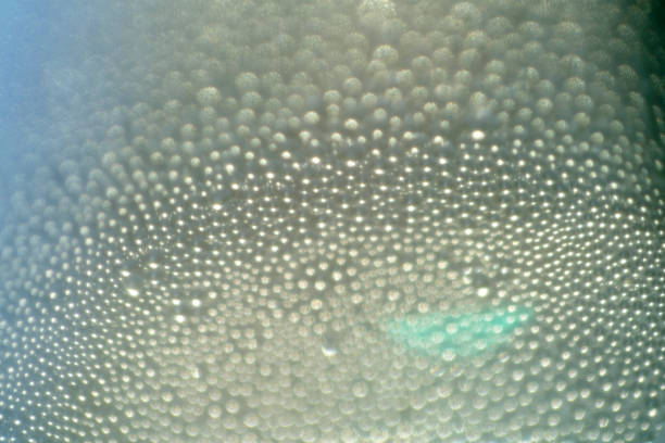 A mesmerizing close-up of water droplets delicately sitting on a smooth surface, showcasing a beautiful interplay of light and texture, evoking freshness and tranquility.