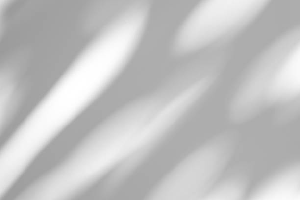 istock Wall interior background, studio and backdrops show products.with shadow from window color white . background for text insertion and presentation product 2188954044