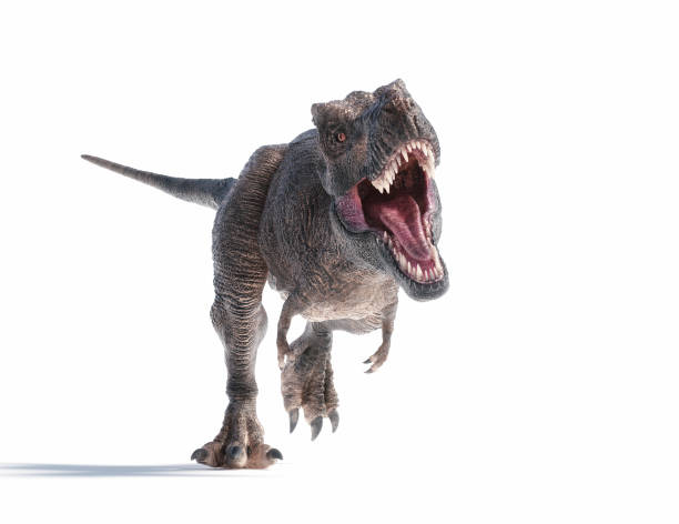 istock Dinosaur exhibits dynamic movement in a natural pose 2188960209
