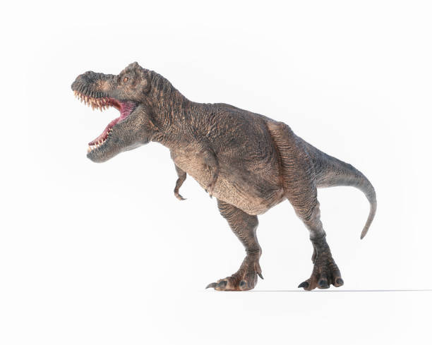istock Dinosaur exhibits dynamic movement in a natural pose 2188960213