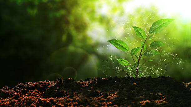 Sustainable Green Energy Plant in Soil