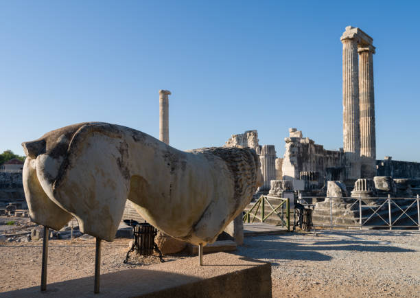 The temple of Apollo in Didim. Didyma is the temple of Apollo in the ancient Greek city. Important ancient cities of Turkey. Travelling in Turkey. Didim district, Aydin province