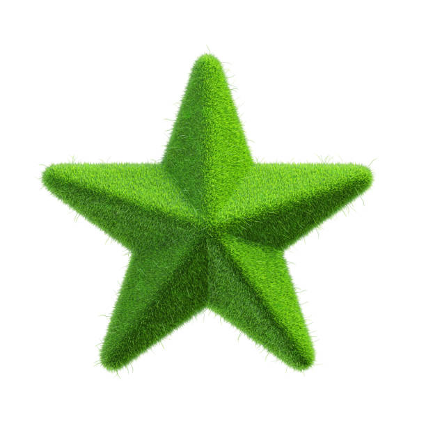 3D star shape object green grass material on white background. Rating star or ranking. Global nature conservation, plant. world economy and ecology. Object with clipping path. 3D Illustration.