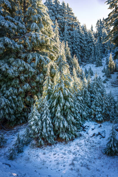 istock Crater Lake National Park, Oregon 2188969081
