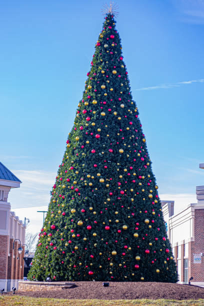istock Christmas Tree in Laurel Town Center 2188969133