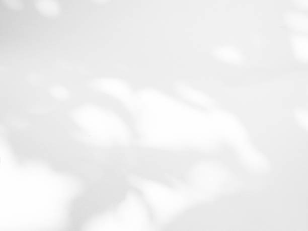istock Shadow light summer background sunight overlay nature on room cement wall floor abstract blur muckup effect grey minimal platform for presentation product backdrop, wallpaper template display. 2188969990