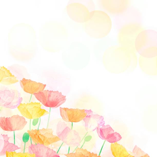 istock A frame in gentle colors created with a poppy flower field landscape. 2188970061
