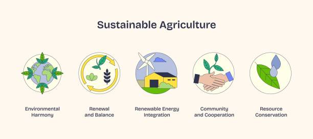 istock Sustainable agriculture icons show harmony, balance, and cooperation. Key objects,... 2188971432