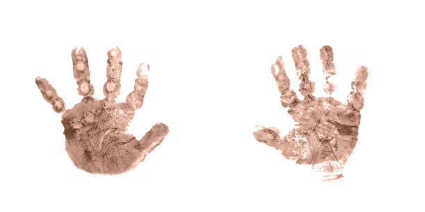 istock Pair of colorful handprints on white background 2188973378