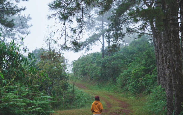 istock Rear view image of a woman walking into the forest 2188975778