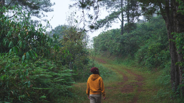 istock Rear view image of a woman walking into the forest 2188975782
