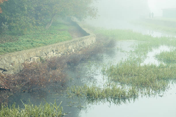 mist nature river side abandoned outskirts landscape peaceful atmosphere aesthetic space