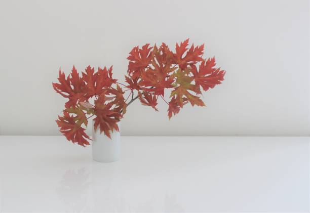istock Ikebana arranged branch in a vase 2188977718