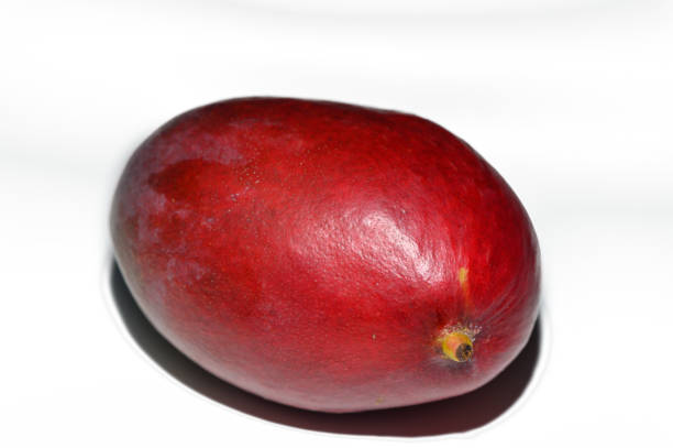 A vibrant, glossy red fruit sits atop a smooth white surface, catching soft light in a serene atmosphere.