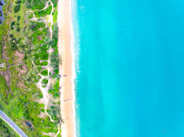 istock High angle view waves seascape nature view,Wide angle drone shot,Top view beach sand 2188981353
