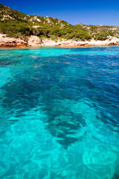 Sailing in the fully inhabited Maddalena archipelago is a mesmerizing experience. The waters are crystal clear and colorful. Here we are approaching the beaches of Spargi Island.