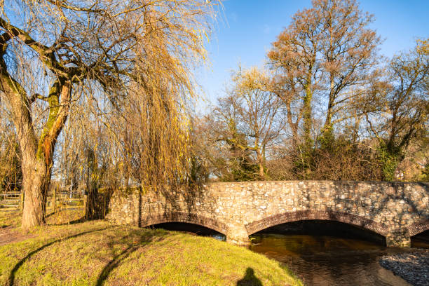 istock Bridge over Corry Brook river in Dalwood in Devon 2188986569