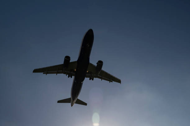 Captured from below, a jetliner prepares for landing, its sleek design highlighted against a vibrant blue sky, emphasizing the elegance of modern aviation.