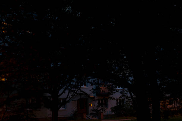 istock A house can be seen clearly through the trees during the night 2188986685