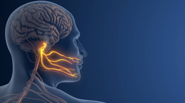 istock Facial Nerve Pain or Trigeminal Neuralgia 2188986705