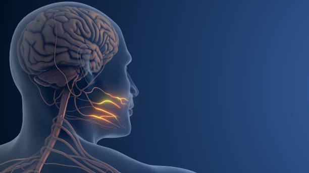 istock Facial Nerve Pain or Trigeminal Neuralgia 2188986993
