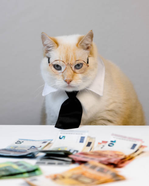 istock Determined cat with glasses, a white collar, and a black tie sits at a table scattered with euro bills, resembling a focused accountant or business leader. 2188991552