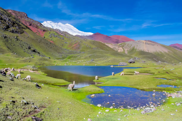 istock Andes mountain range Ausangate in Peru near Cusco. Peruvian Andes snow mountain summits and glacier 2188991927