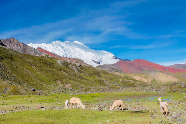 istock Andes mountain range Ausangate in Peru near Cusco. Peruvian Andes snow mountain summits and glacier 2188991986