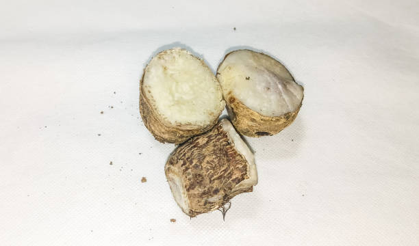 istock Boiled cassava food, isolated background white cloth 2188994283
