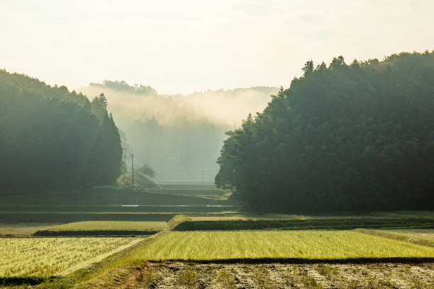 Rural areas of Japan.Satoyama in Japan